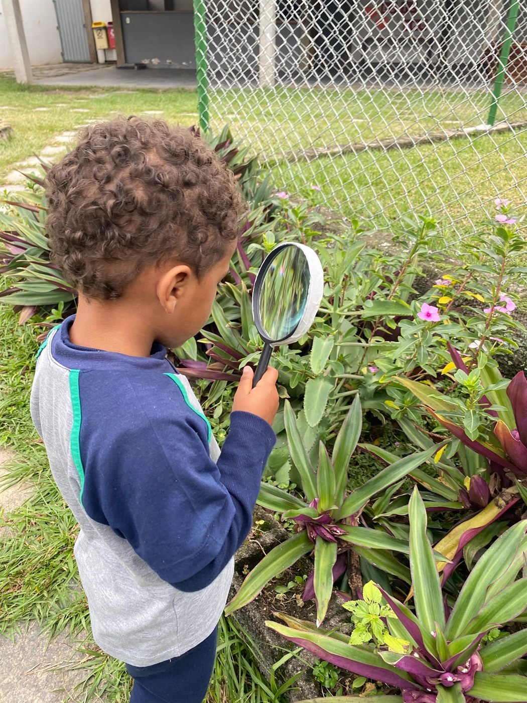 Área verde da Escola Parque Verde