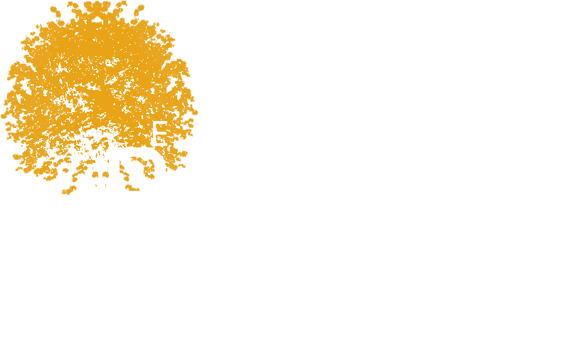 Escola Parque Verde